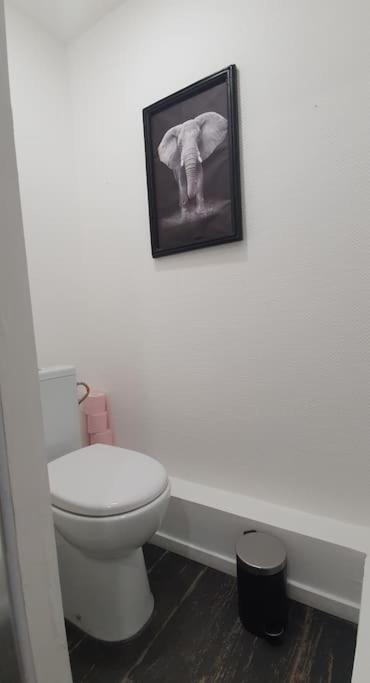 Magnifique Cocon A Lomme Apartment *