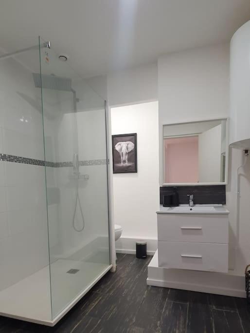 Magnifique Cocon A Lomme Apartment Lille